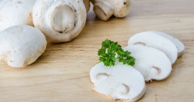Žampiony jsou nejen chutné houby. Pod jejich kloboučkem se skrývá mnoho zdraví prospěšných látek žampiony